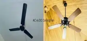 ac vs dc motor ceiling fan