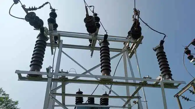 Lightning Arrester in substation